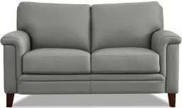 Silver Gray color