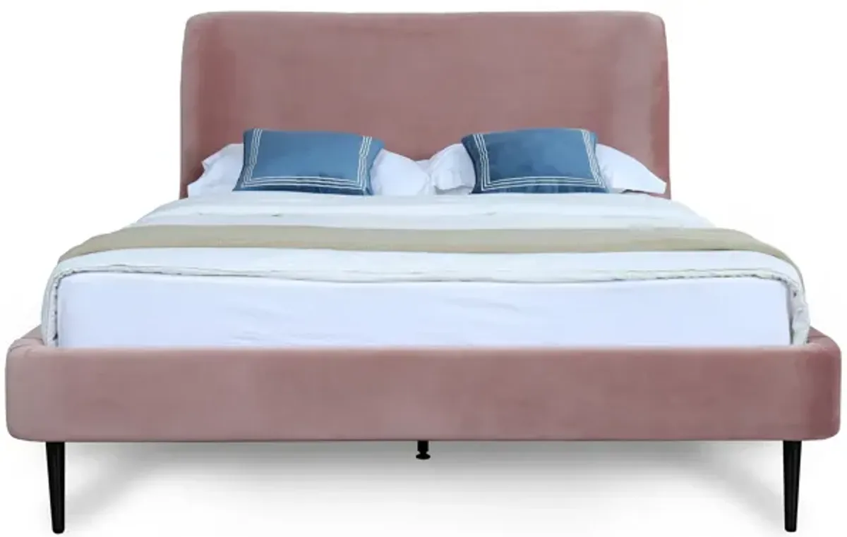 Heather Full Bed in Blush with Black Legs