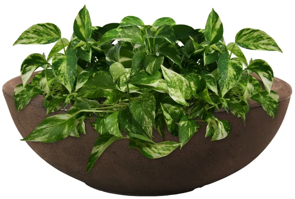 Sunnydaze Percival Round Polyresin Planter with UV-Resistance - Sable