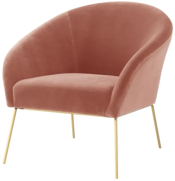 Nicole Miller Rogelio Leather PU/Velvet Accent Chair