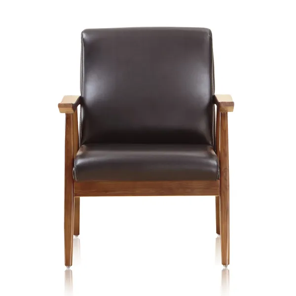 ArchDuke Black Accent Chairs (Set of 2)