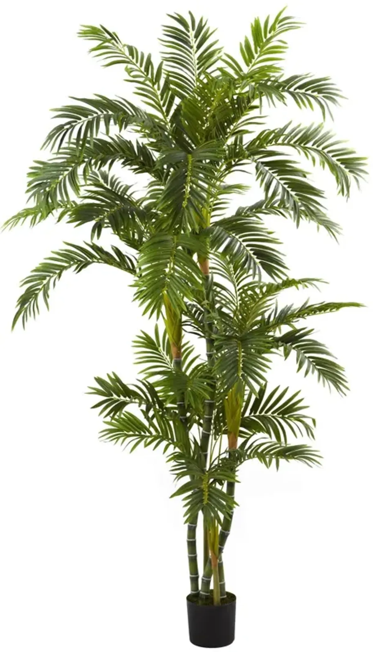 Nearly Natural 6-ft Curvy Parlor Palm Tree x 5 w/1,666 Lvs