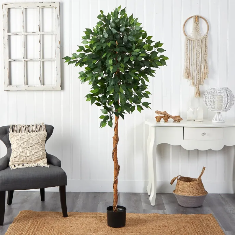 HomPlanti 6 Feet Ficus Artificial Tree