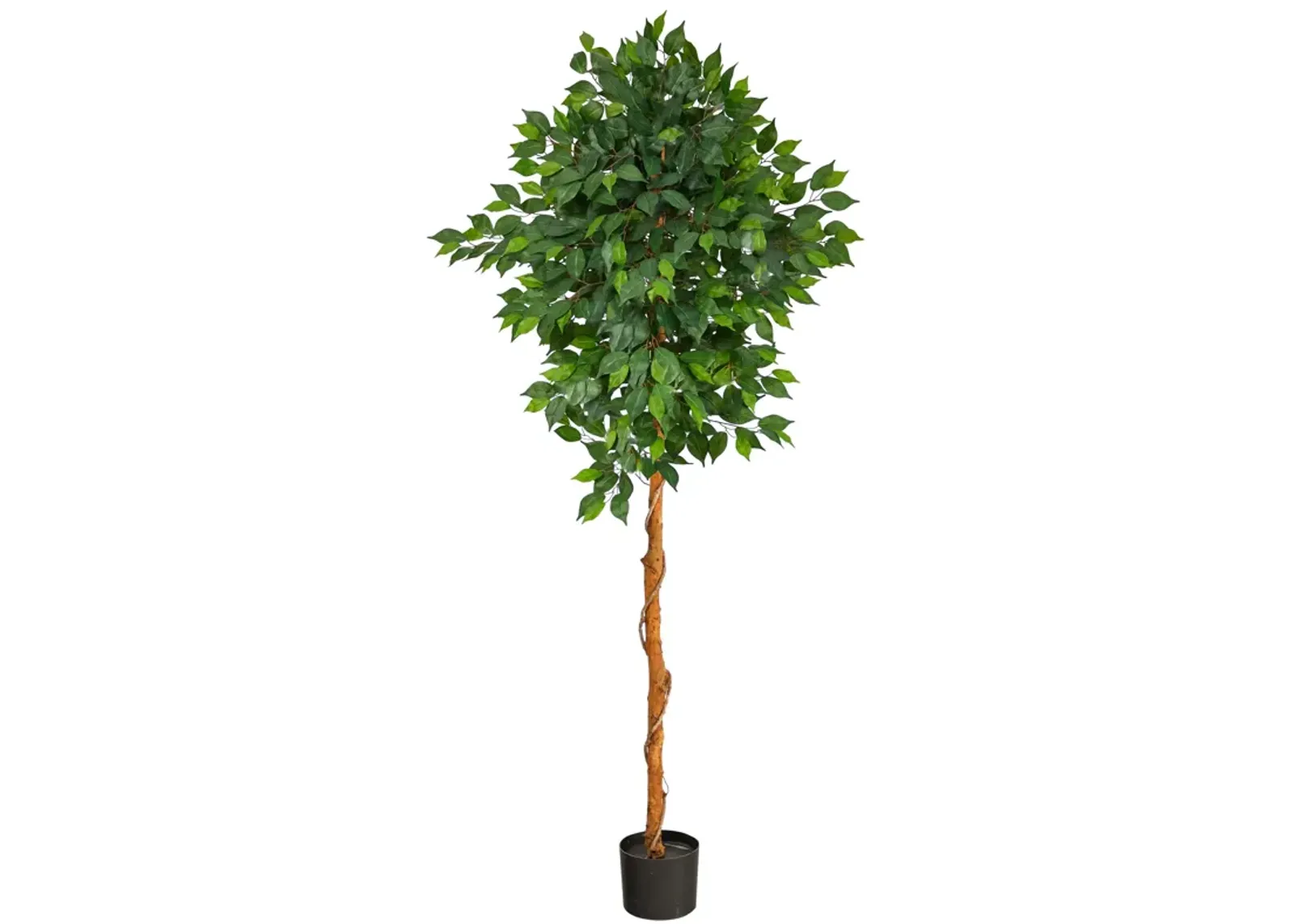 HomPlanti 6 Feet Ficus Artificial Tree