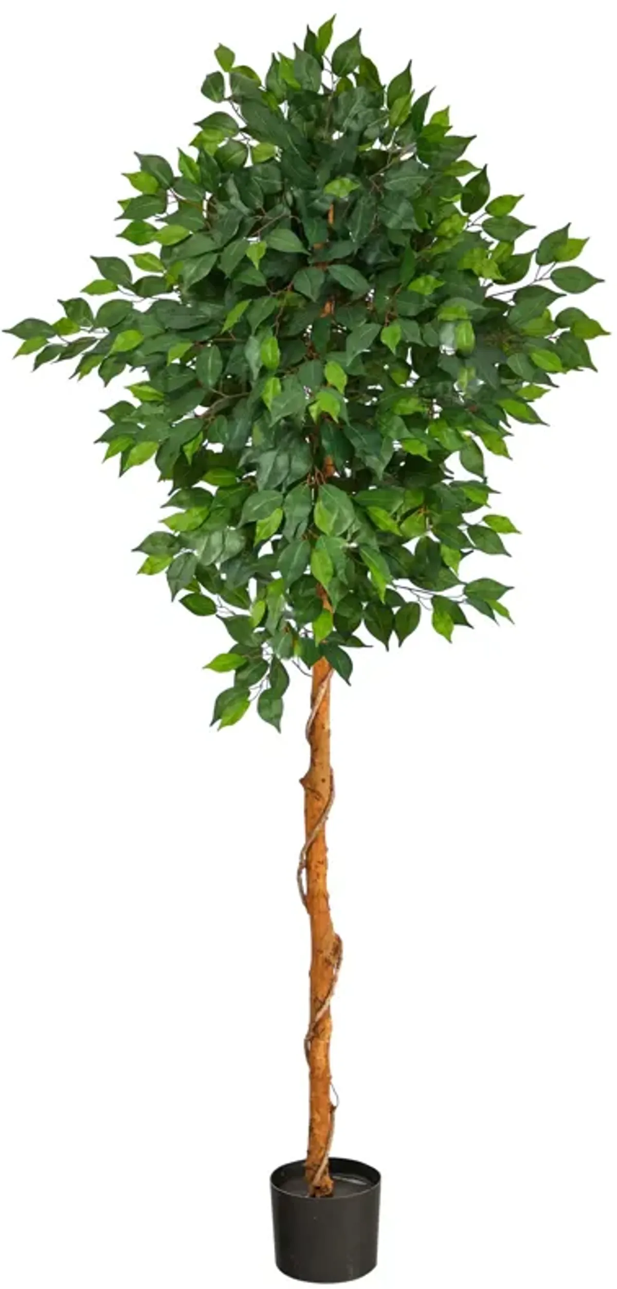 HomPlanti 6 Feet Ficus Artificial Tree