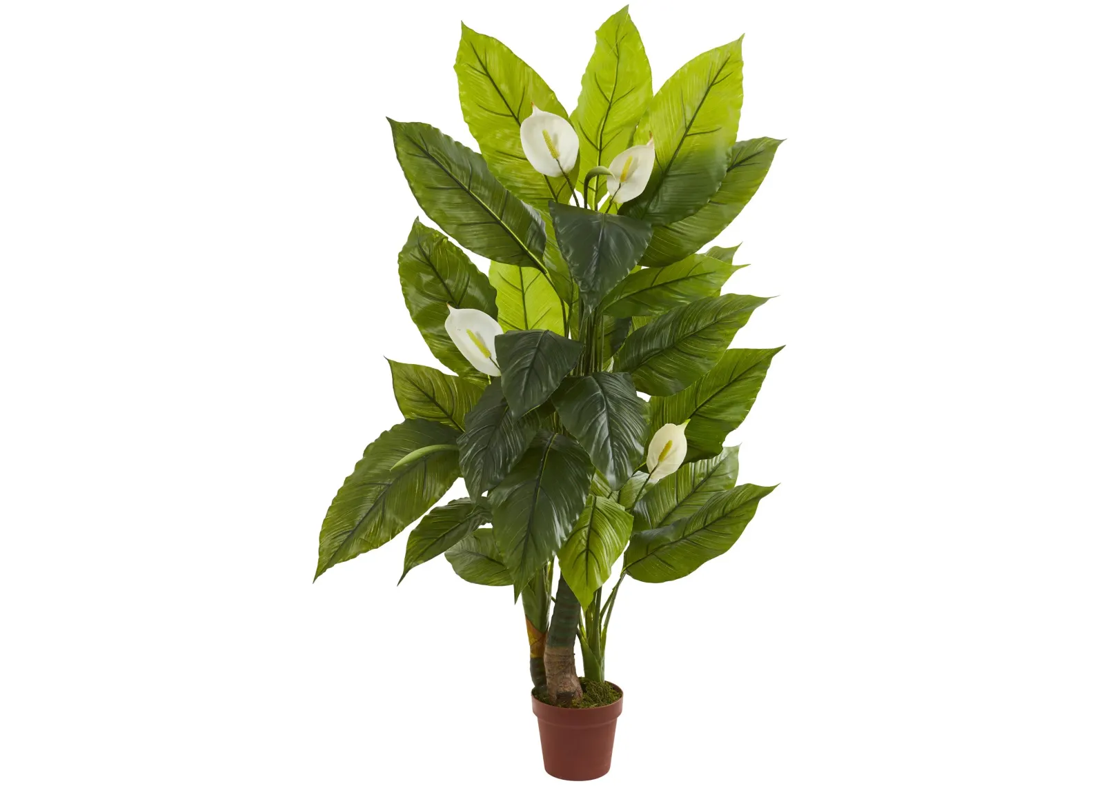 HomPlanti 4.5" Spathyfillum Plant (Real Touch)