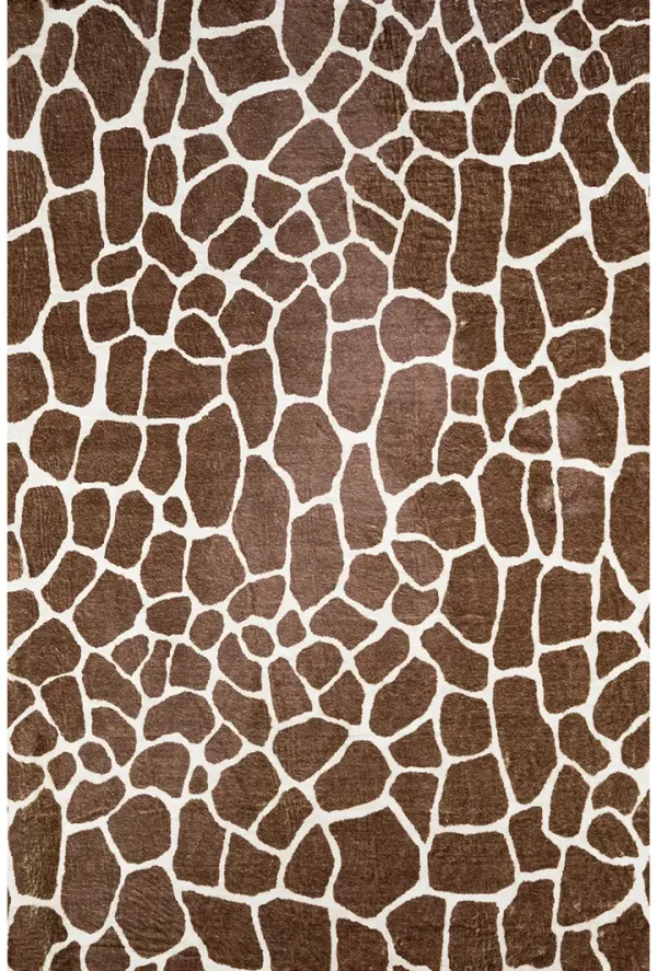 Akina AK4 Chocolate 8' x 10' Rug