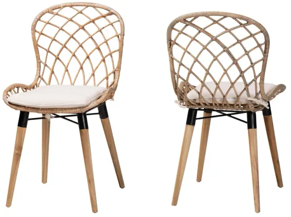 Bali & Pari Sabelle Modern Greywashed 2-Piece Dining Chair Set