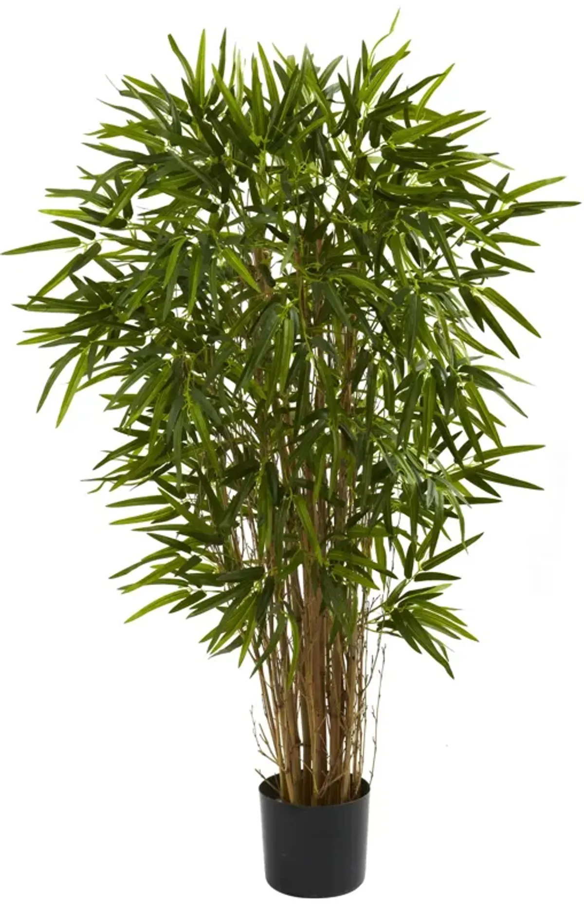 HomPlanti 4 Feet Twiggy Bamboo Tree