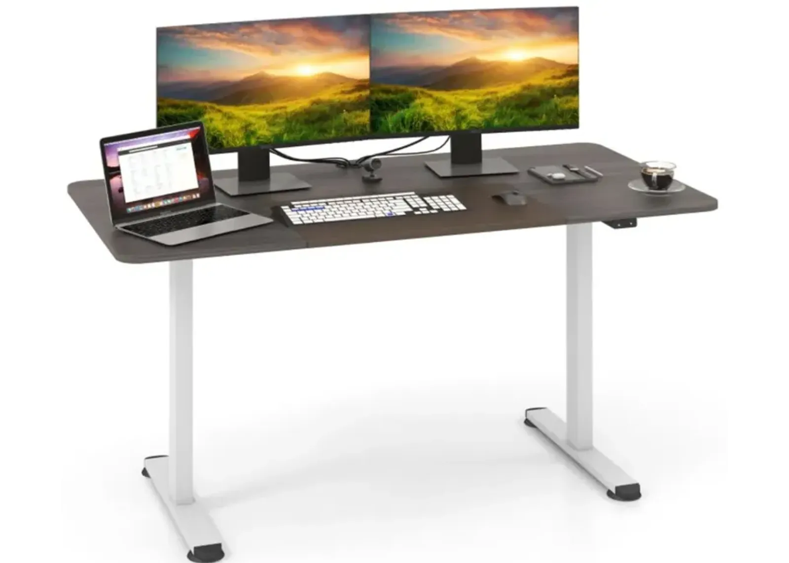 Hivvago 55 Inch Electric Standing Desk Adjustable with Cable Management Hole