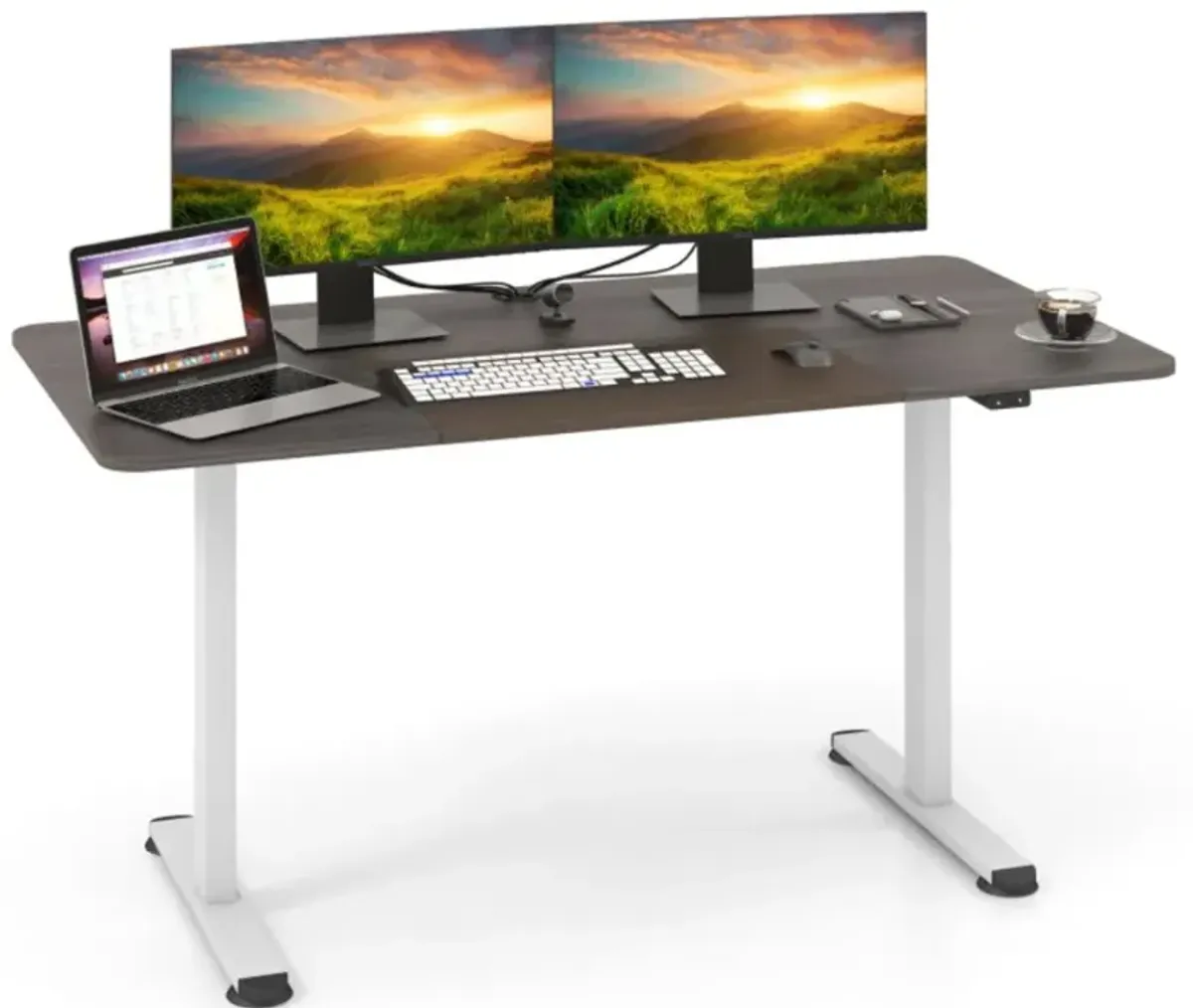 Hivvago 55 Inch Electric Standing Desk Adjustable with Cable Management Hole