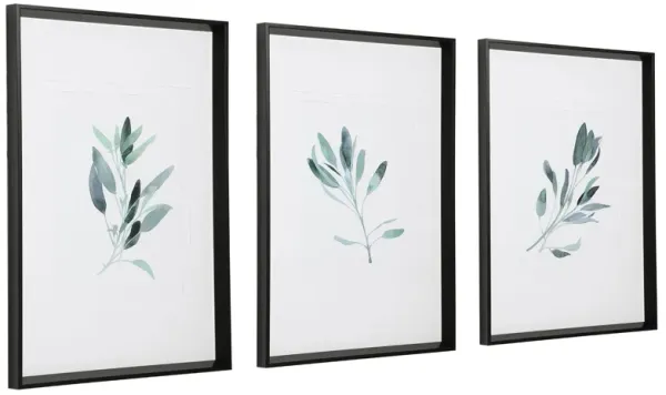 Uttermost Simple Sage Watercolor Prints, S/3