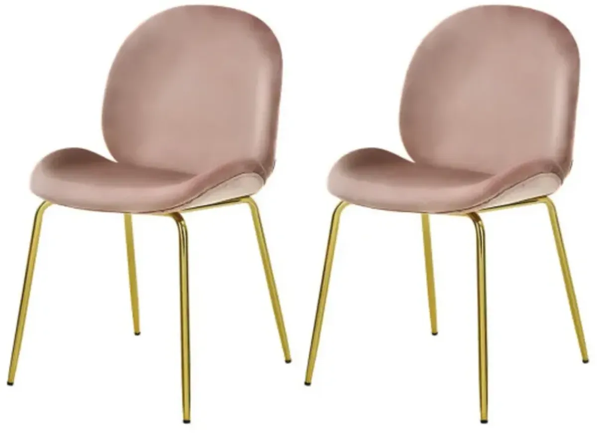 Set of 2 Velvet Accent Chairs with Gold Metal Legs