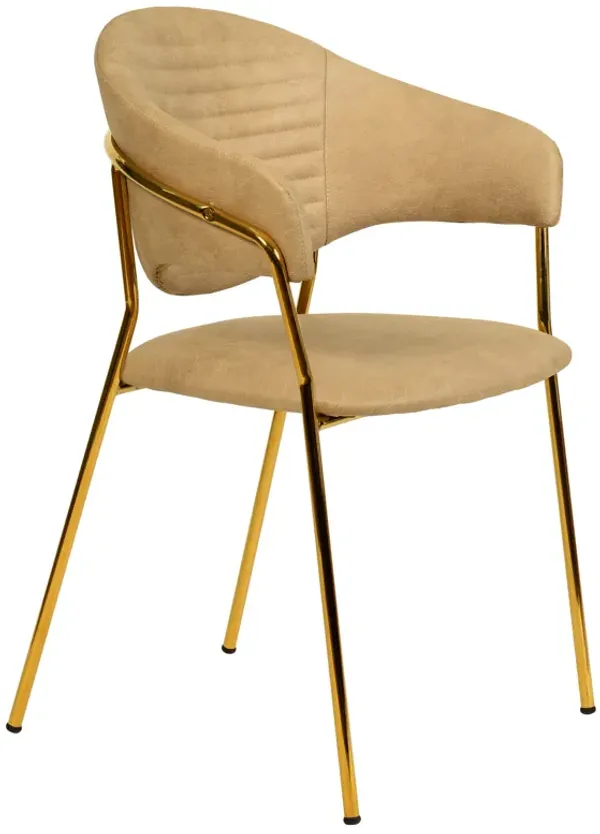 Bella Modern Dining Chair Upholstered in Leather With Stainless Steel Base