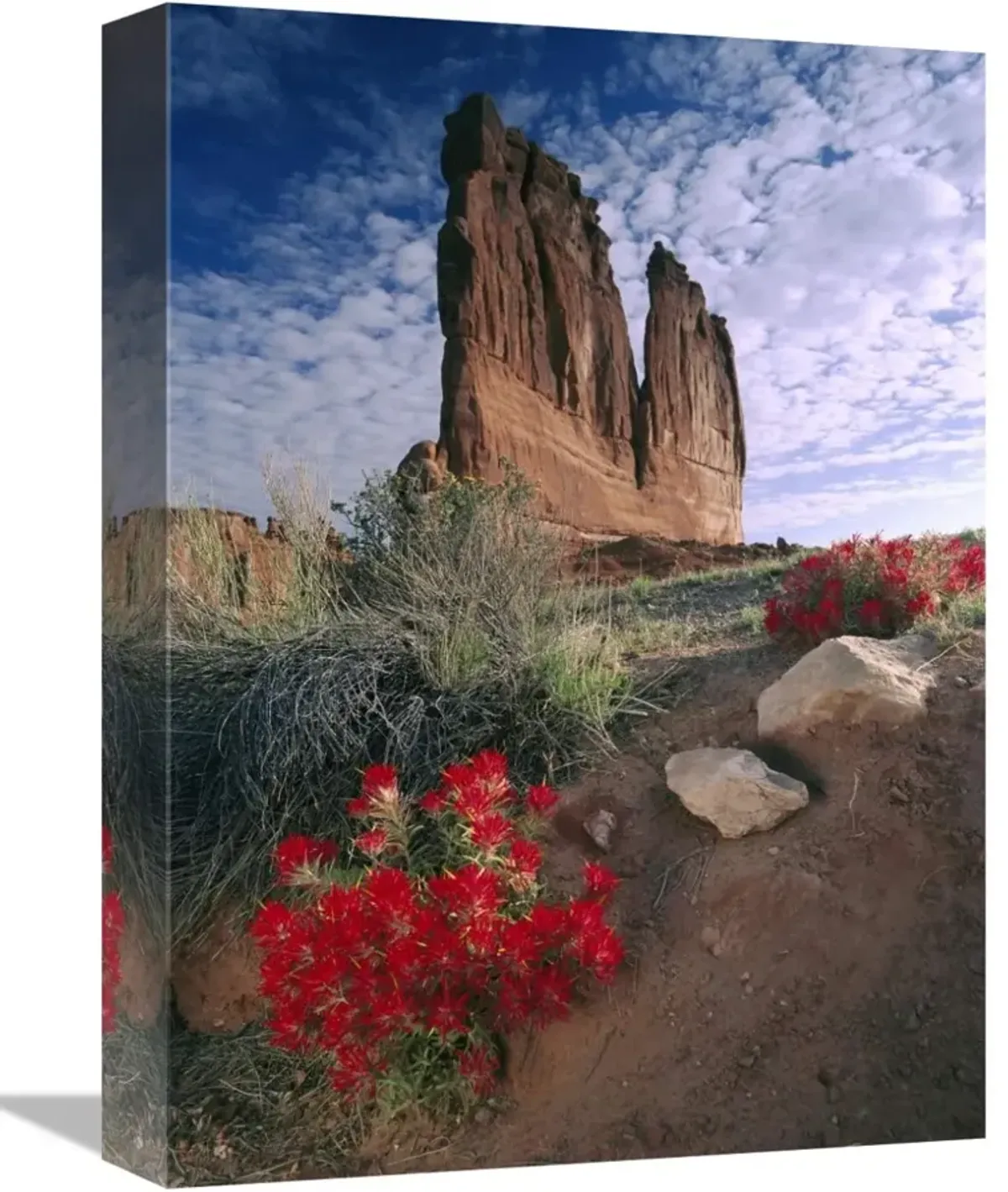 Paintbrush and the Organ Rock, Arches National Park, Utah-Canvas Art-12x16