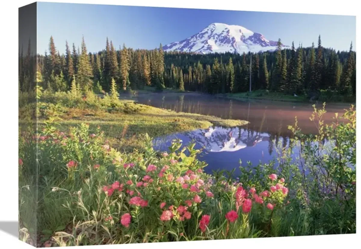 Mt Rainier and wildflowers at Reflection lake, Mt Rainier National Park, Washington-Canvas Art-16x12