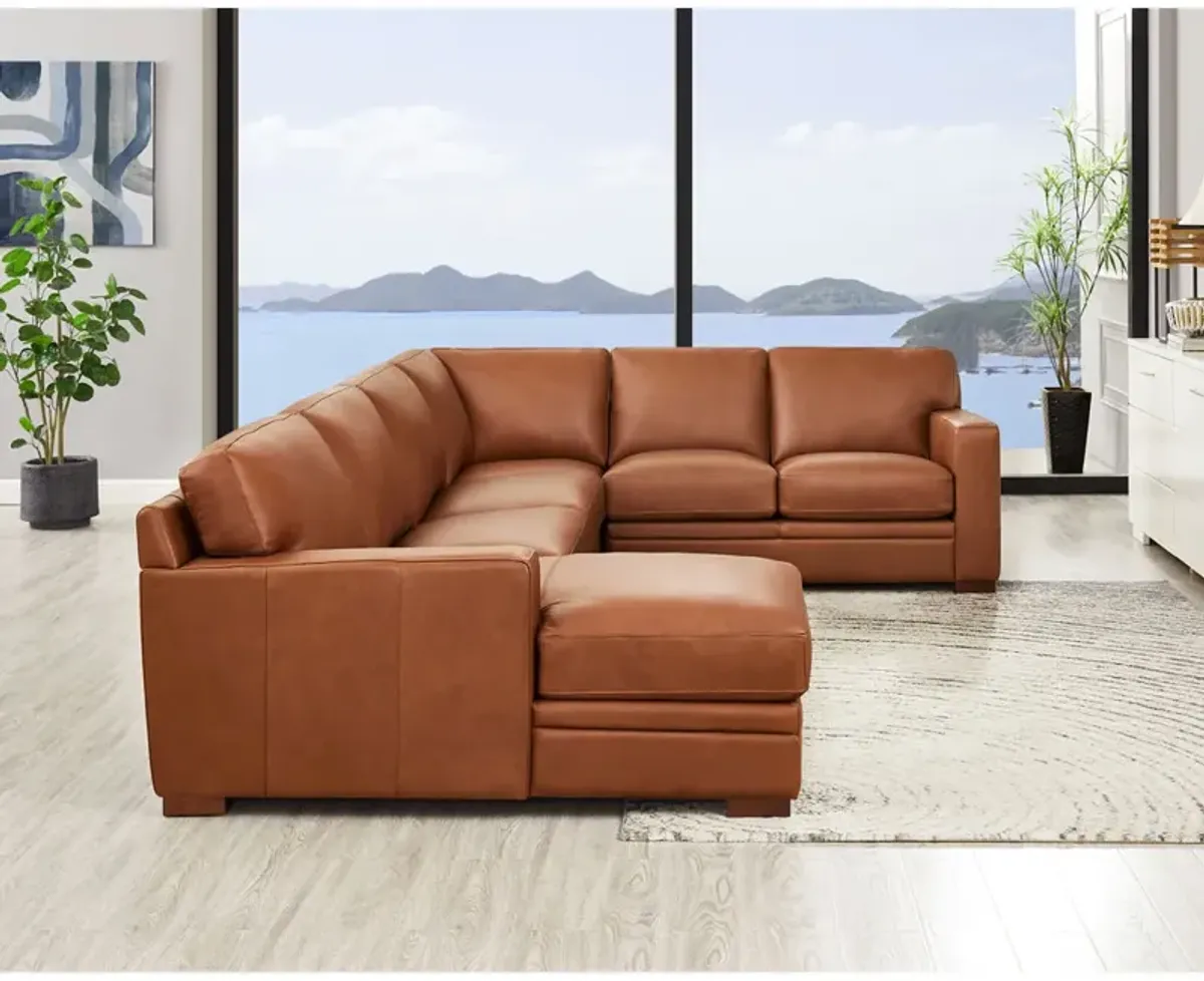 Dillon Top Grain Leather U-Shaped Sectional with Left Chaise