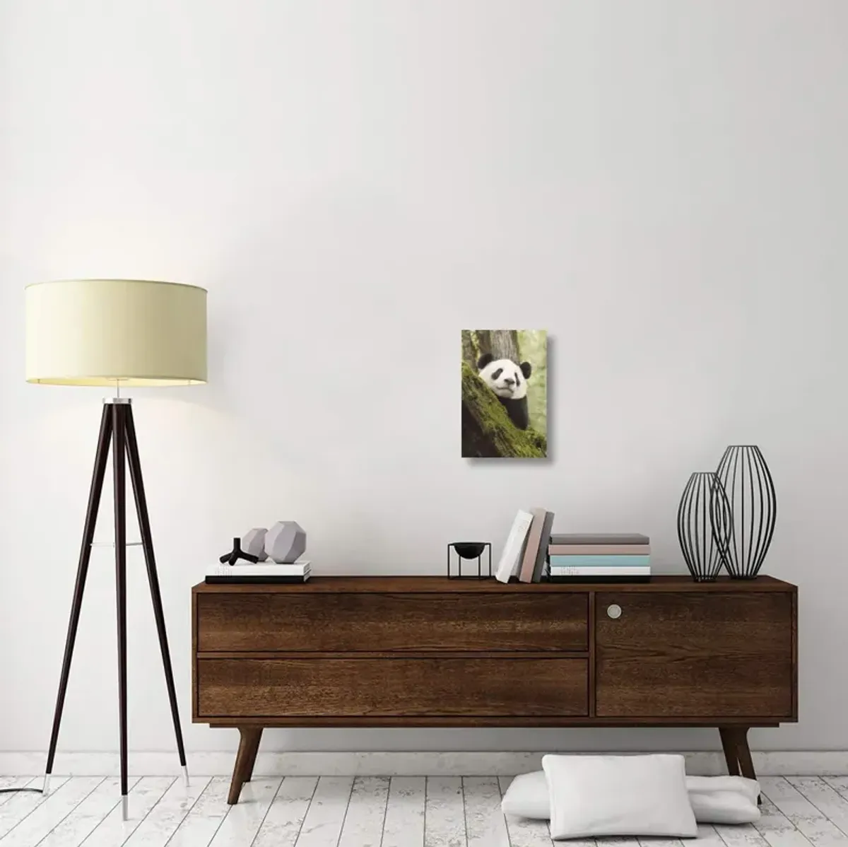 Xiang Xiang, first captive raised panda to be released into the wild, China-Canvas Art-12x18