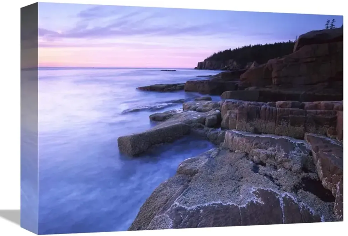 Atlantic coast near Thunder Hole, Acadia National Park, Maine-Canvas Art-16x12