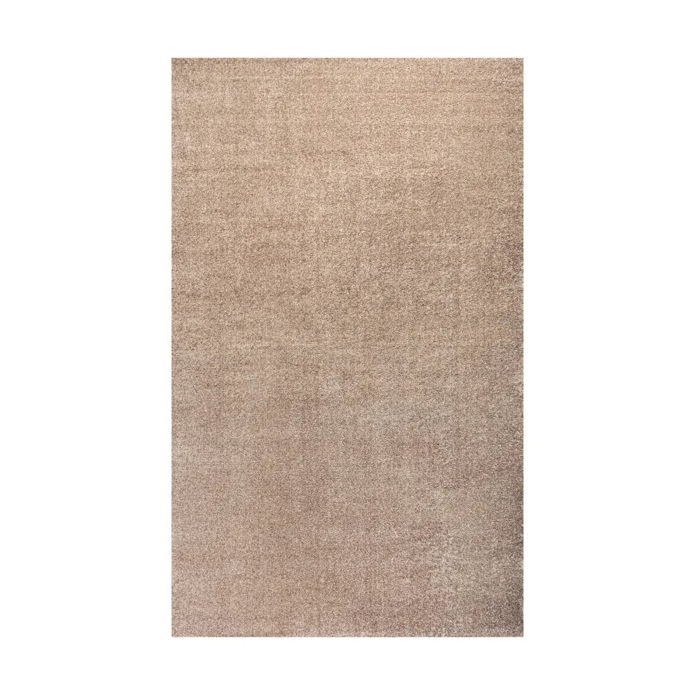 Haze Solid Low-Pile Area Rug