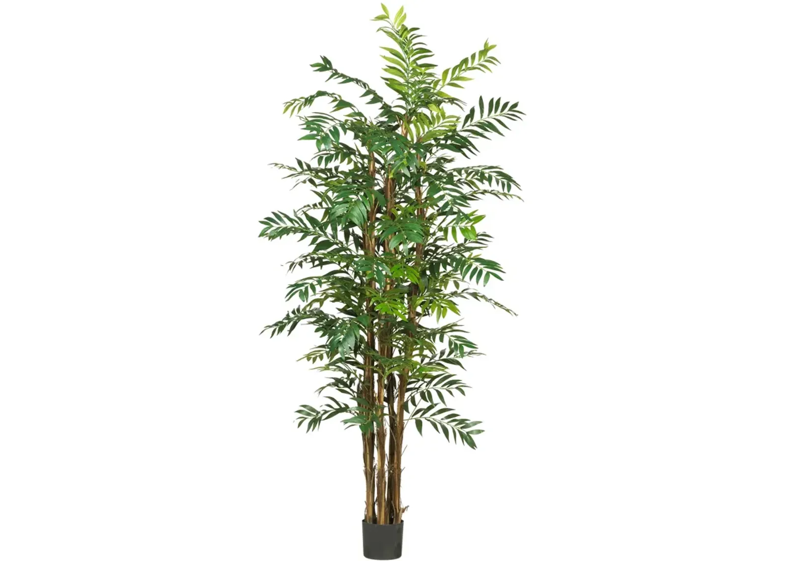 HomPlanti 7 Feet Bamboo Palm Silk Tree