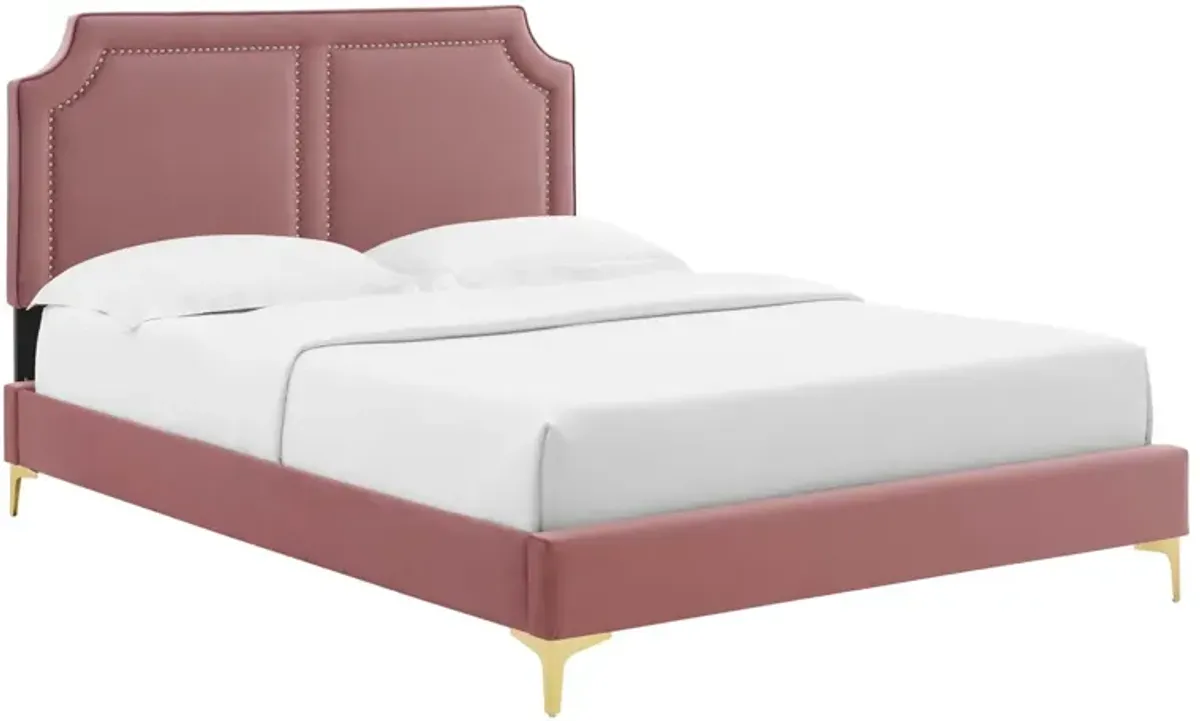 Modway - Novi Performance Velvet King Bed