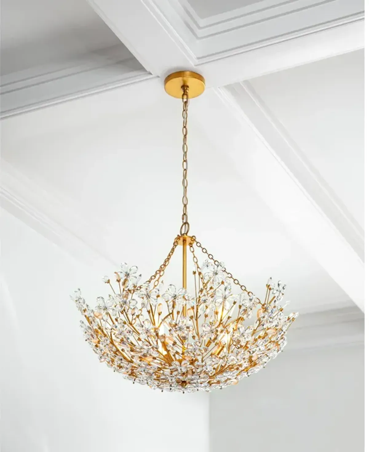 Cheshire Basin Chandelier
