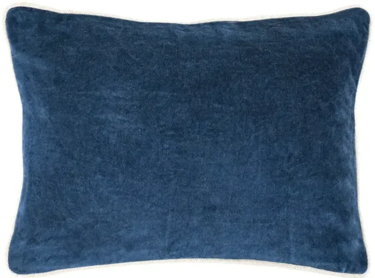 Heirloom Velvet Pillow