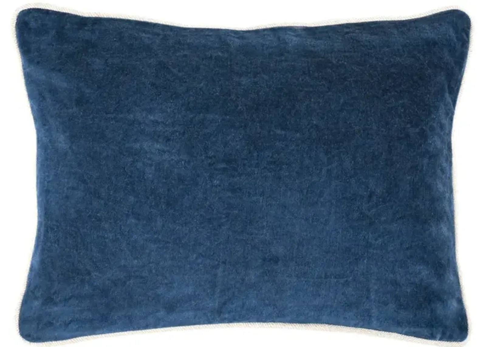 Heirloom Velvet Pillow