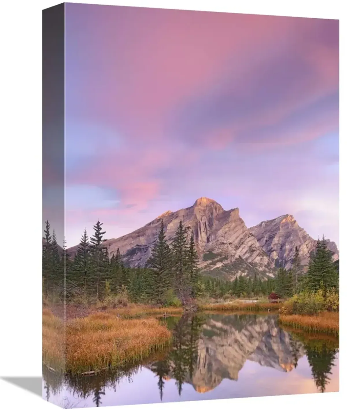 Mount Kidd and trees reflected in pond, Alberta, Canada-Canvas Art-12x16
