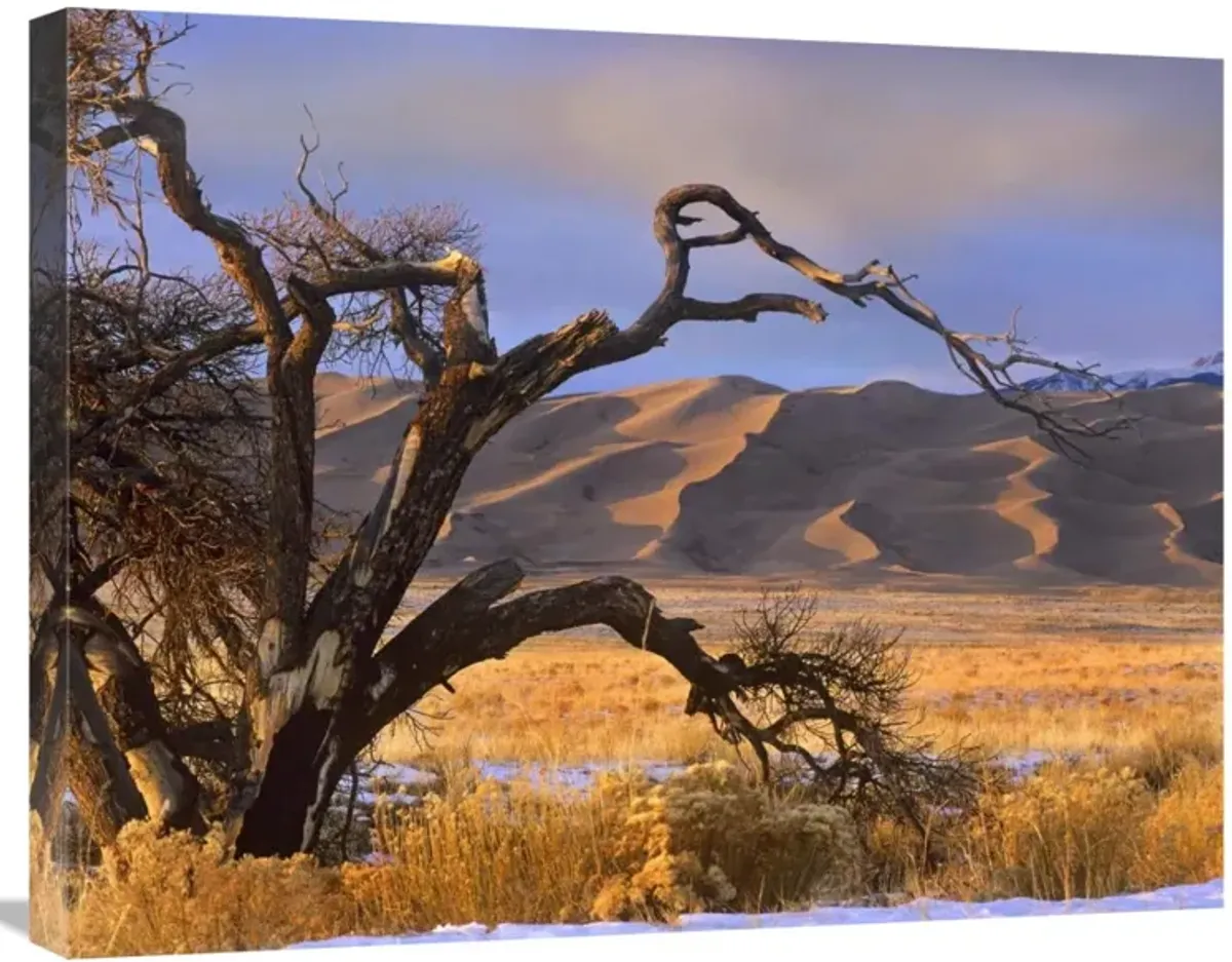 Grasslands and dunes, Great Sand Dunes National Monument, Colorado-Canvas Art-28x22