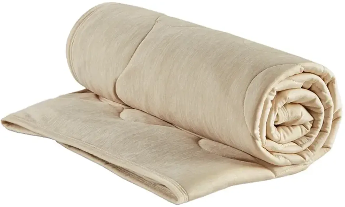 Gracie Mills Brielle Down Alternative Throw - 50x60