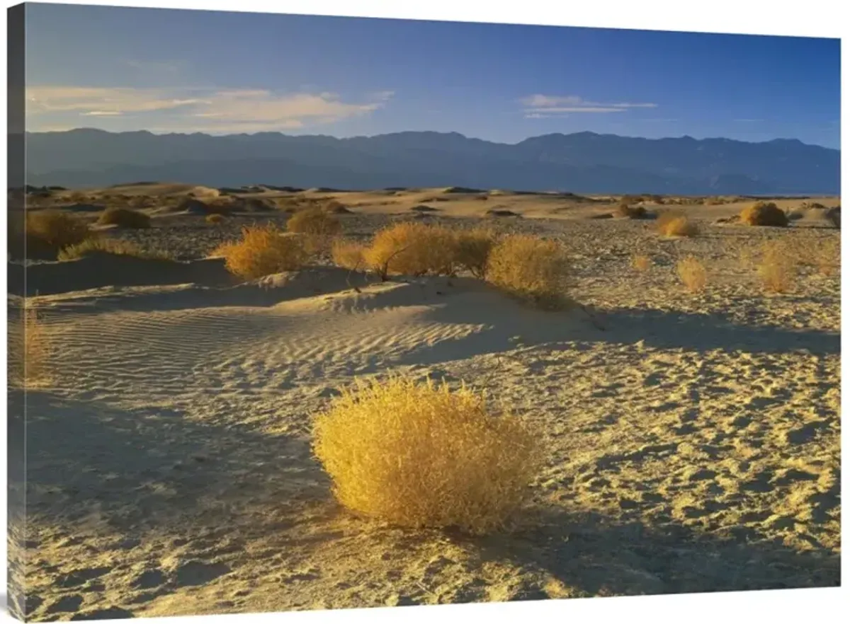 Mesquite Flat Sand Dunes, Death Valley National Park, California-Canvas Art-40x30