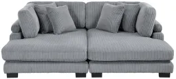 Gray color