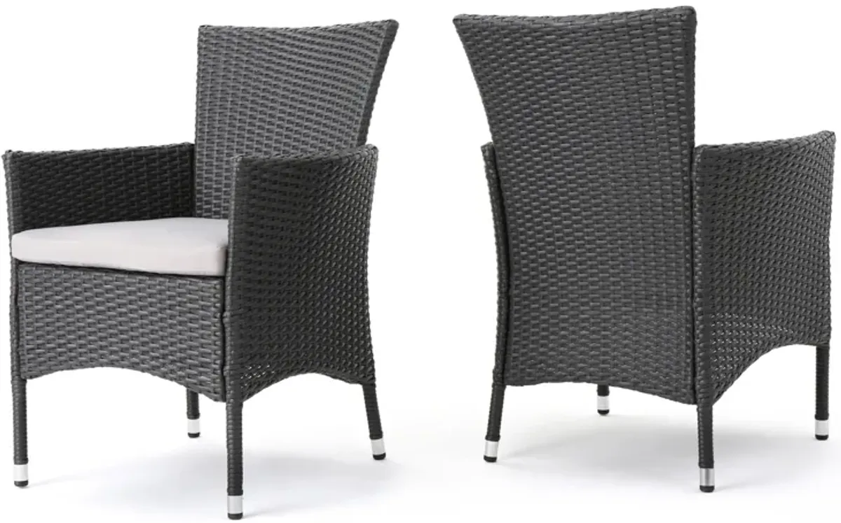 Marri Patio Dining Chair Set of 2, Ergonomic, Gray Wicker Design, Beige