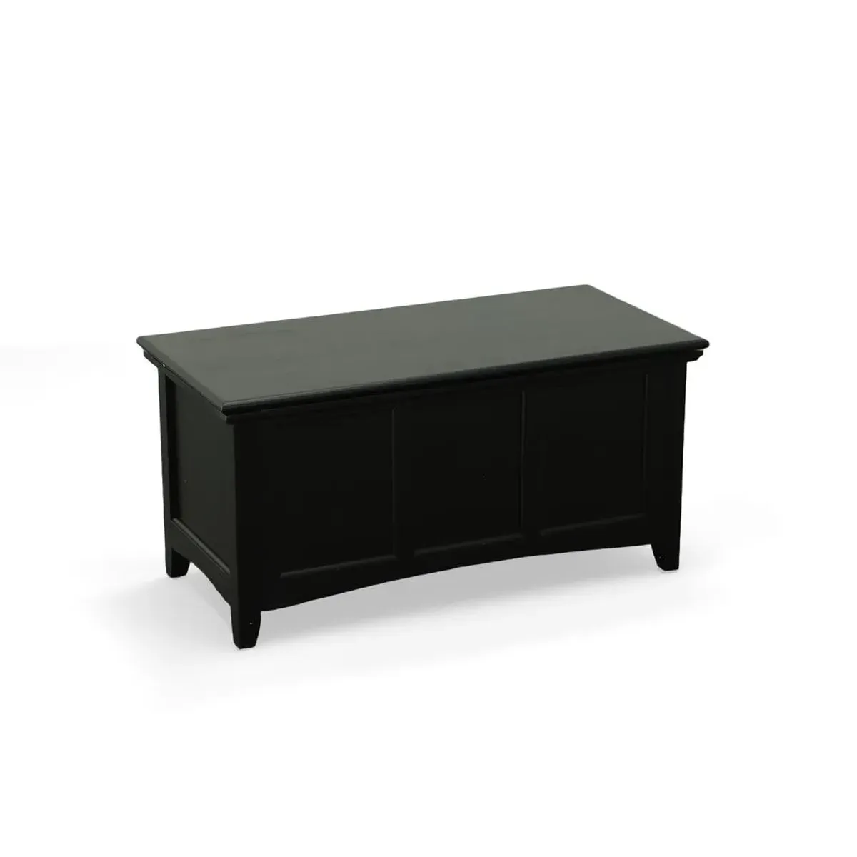 Carolina Living Aura Storage Chest - Antique Black