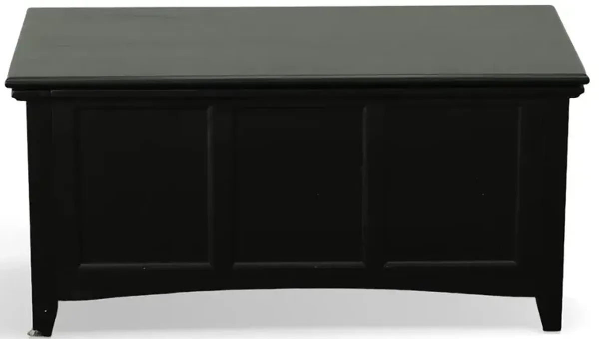 Carolina Living Aura Storage Chest - Antique Black