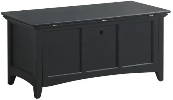Carolina Living Aura Storage Chest - Antique Black