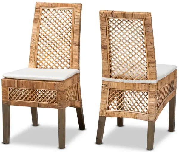 Baxton Studio Argos Modern Bohemian  Natural Brown Rattan 2-Piece Dining Chair Set