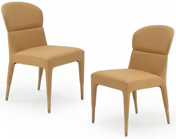 Ogden Modern Orange & Rosegold Dining Chair (Set of 2)