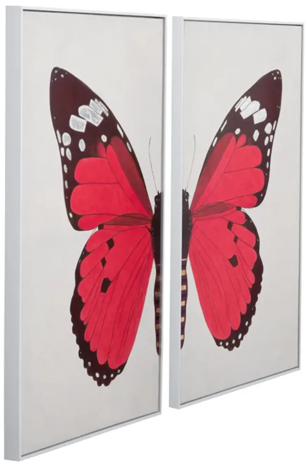 Butterfly Framed Canvas Set