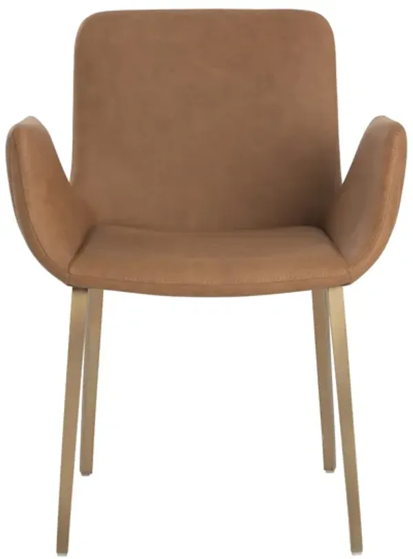 Lucano Dining Armchair
