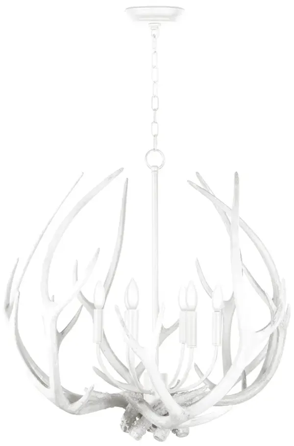 Waylon Antler Round Chandelier