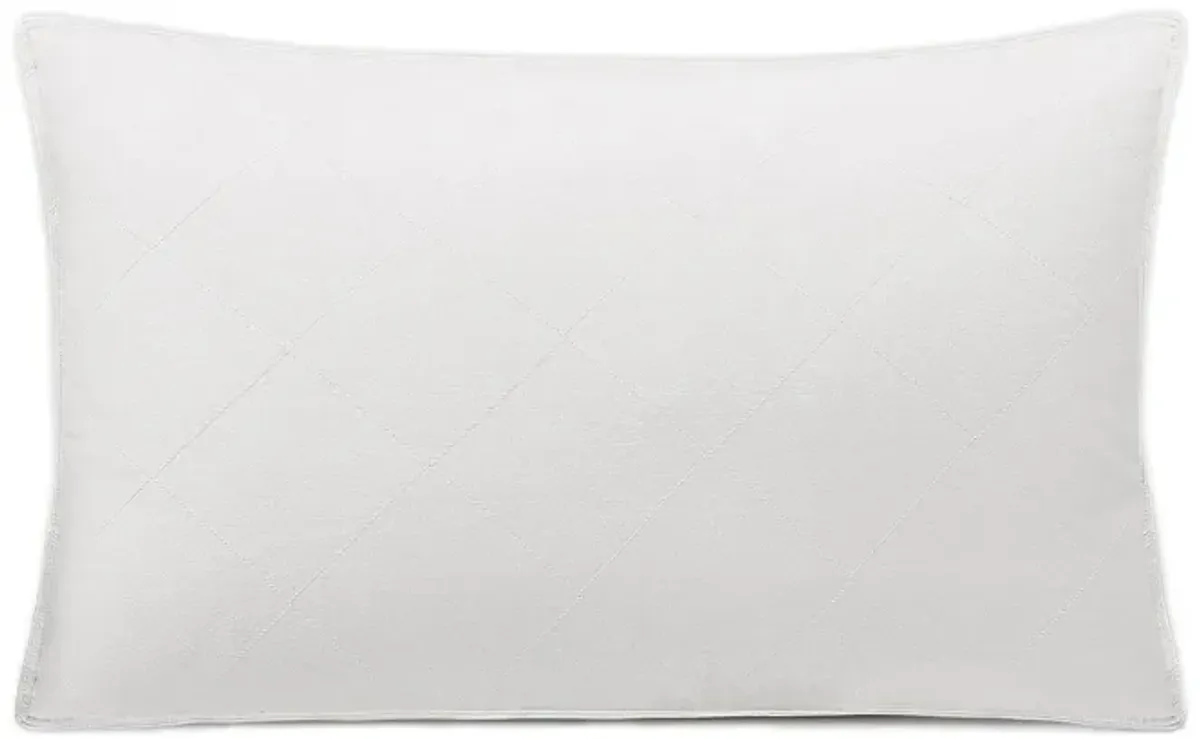 MOMMESILK Washable Cotton Covered Silk Lined Pillow