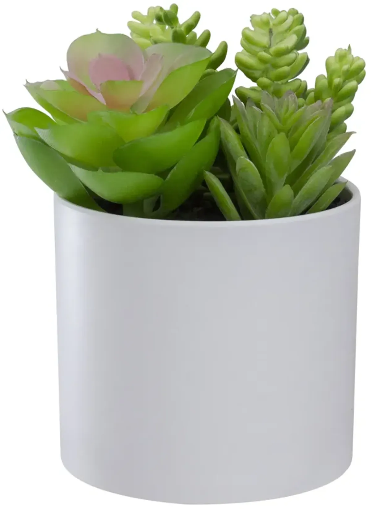 5.5” Mixed Artificial Succulent Arrangement in a White Pot