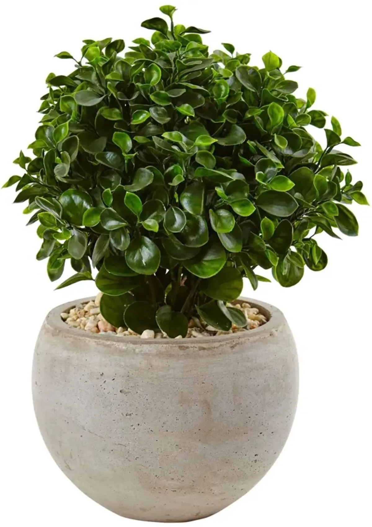 Nearly Natural 2-ft Eucalyptus in Bowl UV Resistant (Indoor/Outdoor)