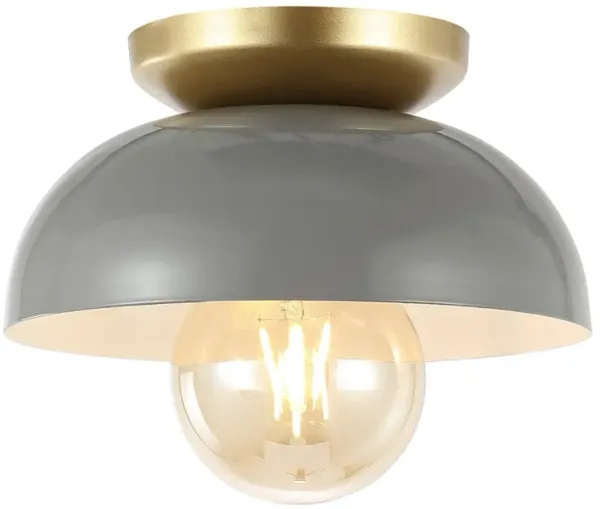 Paulina Classic Industrial Iron LED Flush Mount