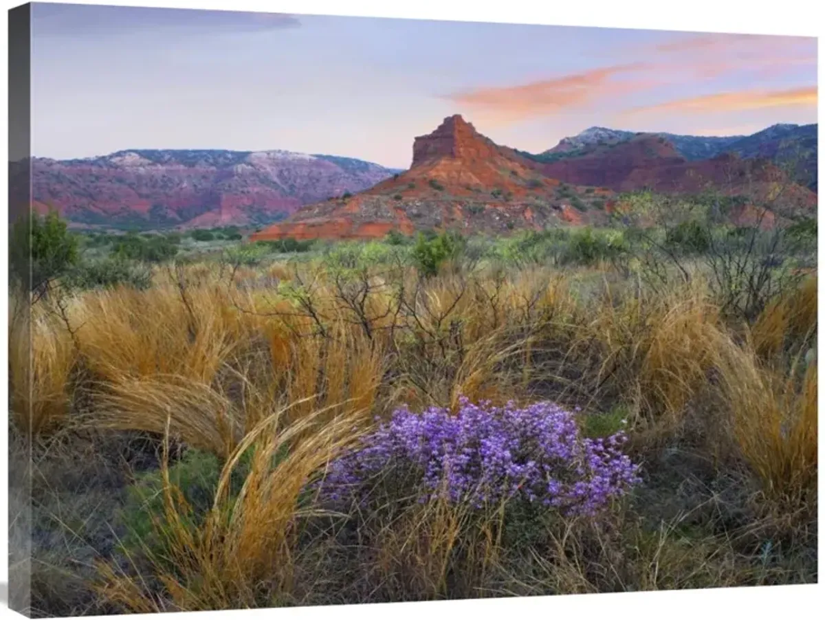 Caprock Canyons State Park, Texas-Canvas Art-32x24