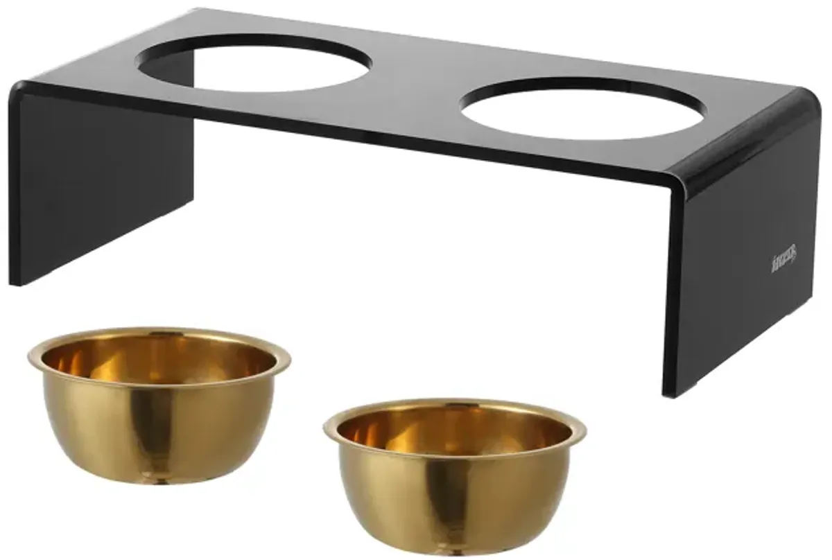 Keaton Medium/Large Modern Lucite Rectangular Elevated Pet Feeder with 2-Stainless Steel Bowls