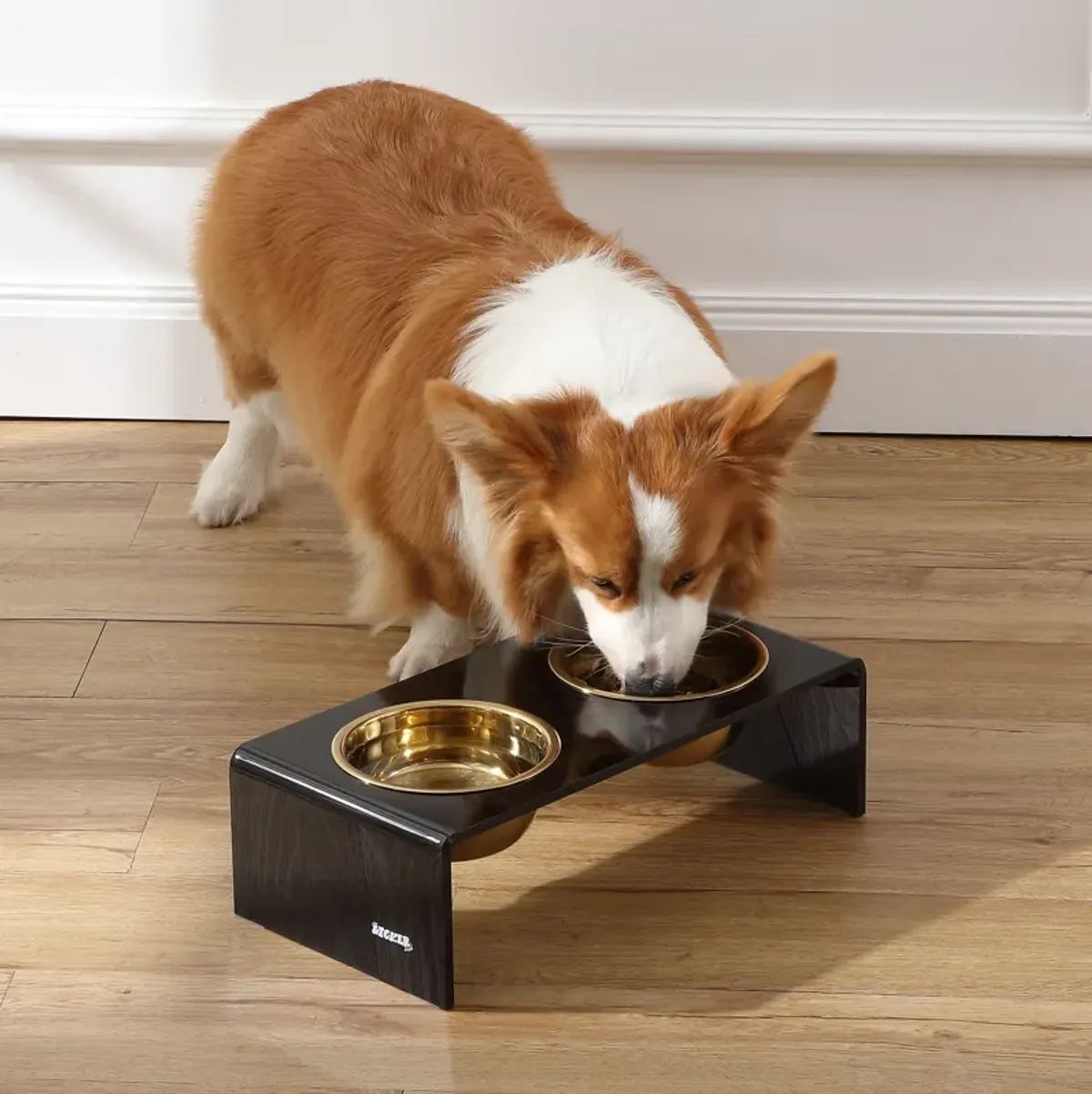 Keaton Medium/Large Modern Lucite Rectangular Elevated Pet Feeder with 2-Stainless Steel Bowls